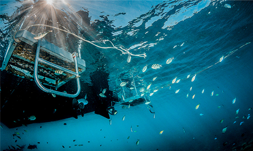 水下650米電機的行業應用